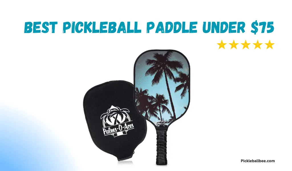 7 Best Pickleball Paddles Under $75 In 2023