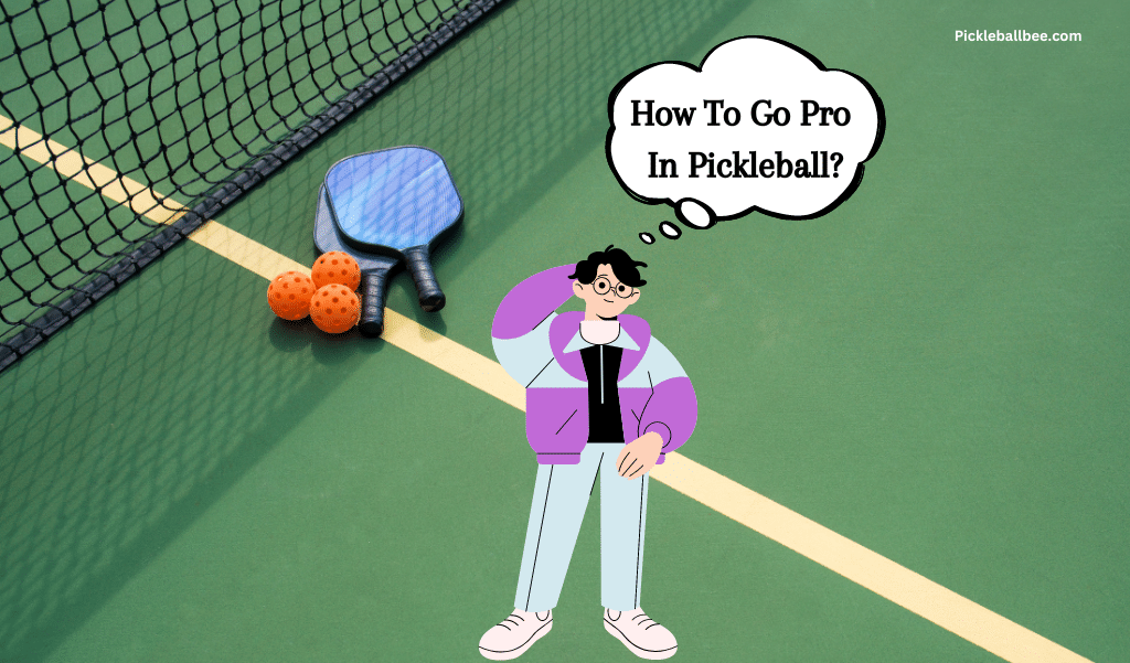 How To Go Pro In Pickleball? 11 Keys TO Success