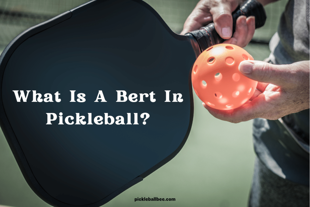What Is A Bert In Pickleball