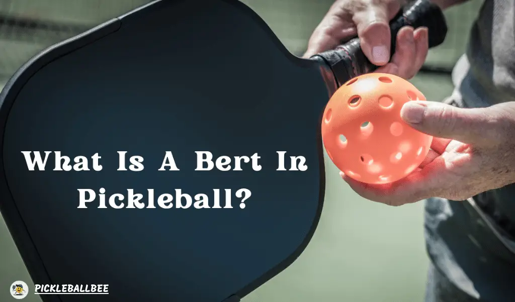 What Is A Bert In Pickleball