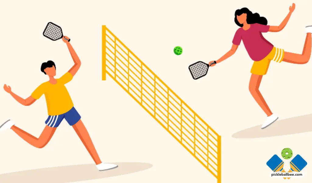 What Does a Pickleball Look Like?
